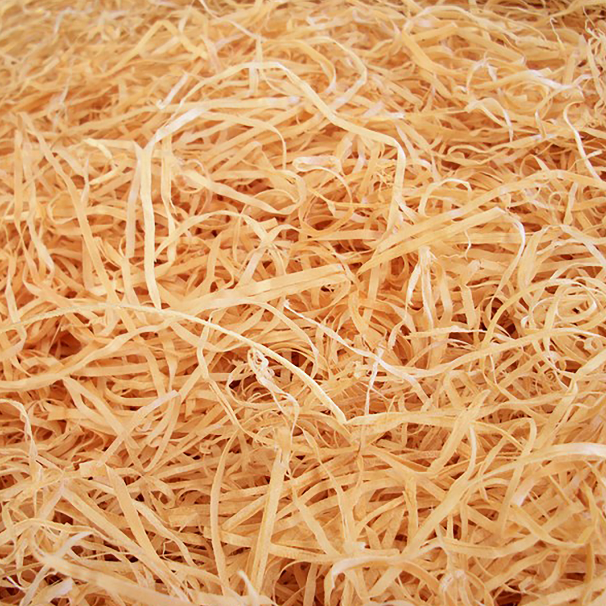 FIBRE.png